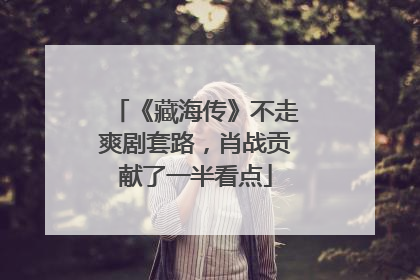 《藏海传》不走爽剧套路，肖战贡献了一半看点