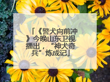 《警犬向前冲》今晚山东卫视播出，“神犬奇兵”炼成记