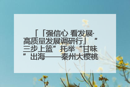 「强信心 看发展·高质量发展调研行」“三步上篮”托举“甘味”出海——秦州大樱桃高质量发展动作分解