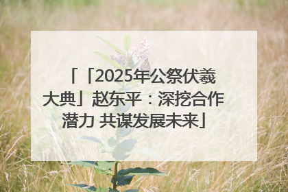 「2025年公祭伏羲大典」赵东平：深挖合作潜力 共谋发展未来