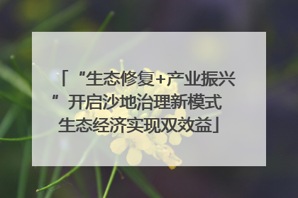 “生态修复+产业振兴”开启沙地治理新模式 生态经济实现双效益