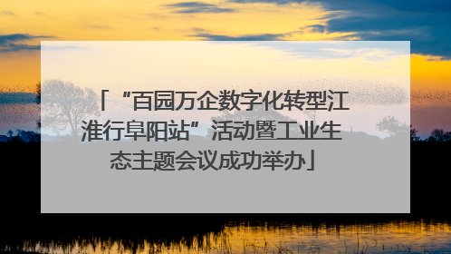 “百园万企数字化转型江淮行阜阳站”活动暨工业生态主题会议成功举办