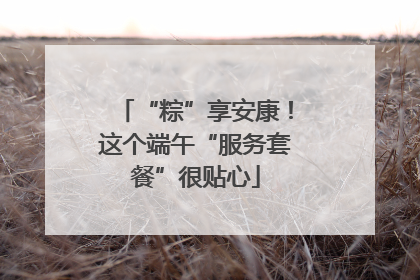 “粽”享安康！这个端午“服务套餐”很贴心