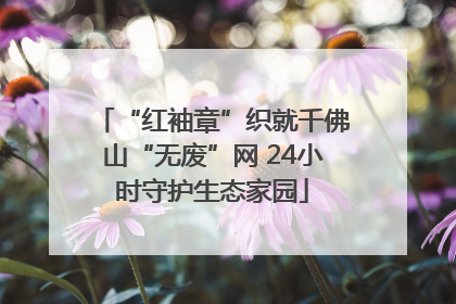 “红袖章”织就千佛山“无废”网 24小时守护生态家园