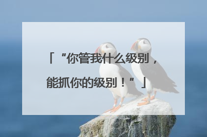 “你管我什么级别，能抓你的级别！”