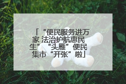“便民服务进万家 法治护航惠民生”“头雁”便民集市“开张”啦