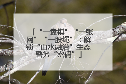 “一盘棋”“一张网”“一股绳”：解锁“山水融治”生态警务“密码”