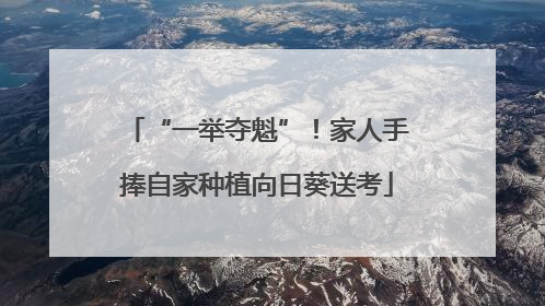 “一举夺魁”！家人手捧自家种植向日葵送考