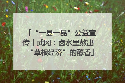 “一县一品”公益宣传丨武冈：卤水里熬出“草根经济”的醇香