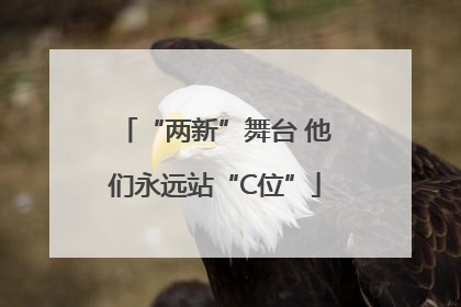 “两新”舞台 他们永远站“C位”