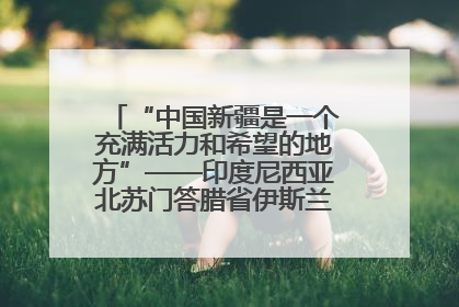 “中国新疆是一个充满活力和希望的地方”——印度尼西亚北苏门答腊省伊斯兰教代表团参访新疆