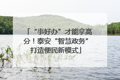 “事好办”才能拿高分！泰安“智慧政务”打造便民新模式