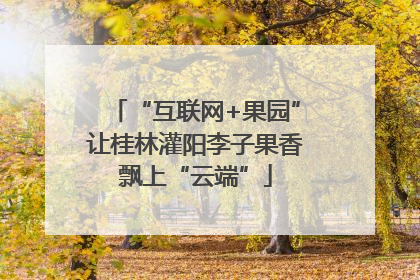 “互联网+果园”让桂林灌阳李子果香飘上“云端”