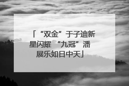 “双金”于子迪新星闪耀 “九冠”潘展乐如日中天