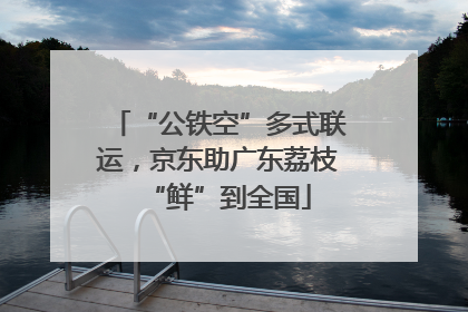 “公铁空”多式联运，京东助广东荔枝“鲜”到全国