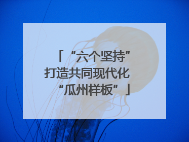 “六个坚持”打造共同现代化“瓜州样板”