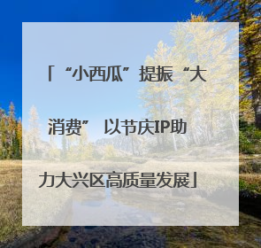 “小西瓜”提振“大消费” 以节庆IP助力大兴区高质量发展