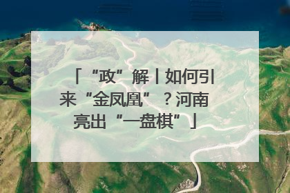 “政”解丨如何引来“金凤凰”？河南亮出“一盘棋”