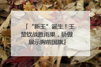 “新王”诞生！王楚钦战胜雨果，骄傲展示胸前国旗