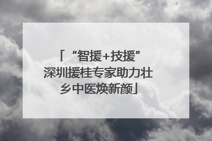 “智援+技援” 深圳援桂专家助力壮乡中医焕新颜