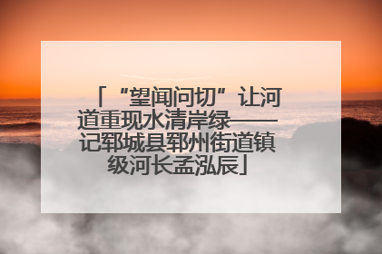 “望闻问切”让河道重现水清岸绿——记郓城县郓州街道镇级河长孟泓辰