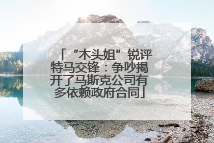 “木头姐”锐评特马交锋：争吵揭开了马斯克公司有多依赖政府合同