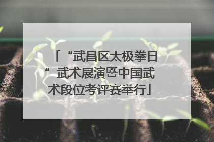 “武昌区太极拳日”武术展演暨中国武术段位考评赛举行