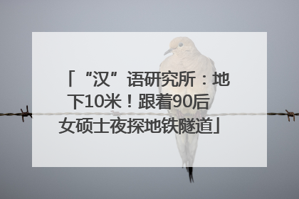 “汉”语研究所：地下10米！跟着90后女硕士夜探地铁隧道