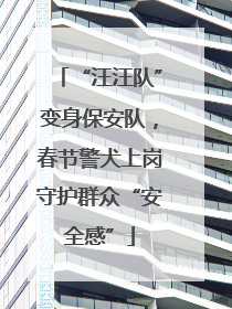 “汪汪队”变身保安队，春节警犬上岗守护群众“安全感”