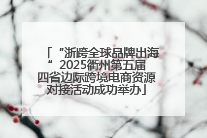 “浙跨全球品牌出海”2025衢州第五届四省边际跨境电商资源对接活动成功举办