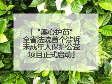 “溪心护苗”：全省法院首个涉诉未成年人保护公益项目正式启动