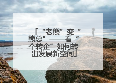 “老熊”变“熊总”——看“个转企”如何转出发展新空间