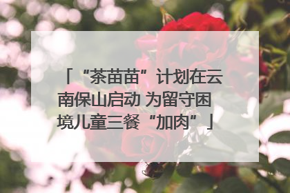 “茶苗苗”计划在云南保山启动 为留守困境儿童三餐“加肉”