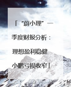 “蔚小理”一季度财报分析：理想盈利稳健 小鹏亏损收窄