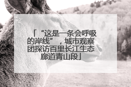 “这是一条会呼吸的岸线”，城市观察团探访百里长江生态廊道青山段