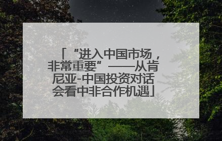 “进入中国市场，非常重要”——从肯尼亚-中国投资对话会看中非合作机遇