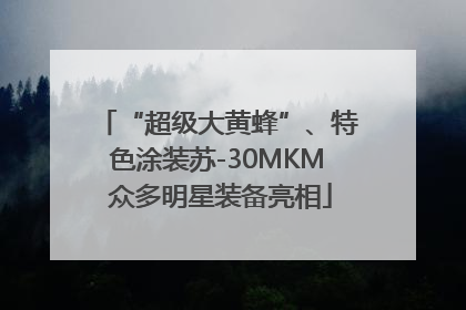 “超级大黄蜂”、特色涂装苏-30MKM 众多明星装备亮相