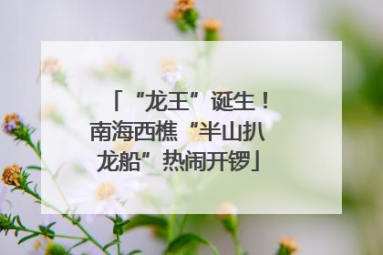 “龙王”诞生！南海西樵“半山扒龙船”热闹开锣