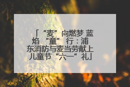 “麦”向燃梦 蓝焰 “童” 行：浦东消防与麦当劳献上儿童节“六一”礼