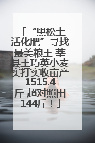 “黑松土 活化肥”寻找最美粮王 莘县王巧英小麦实打实收亩产1515.4斤 超对照田144斤！