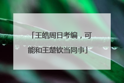 王皓周日考编，可能和王楚钦当同事
