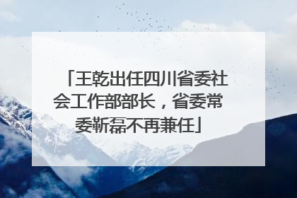 王乾出任四川省委社会工作部部长，省委常委靳磊不再兼任