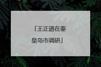 王正谱在秦皇岛市调研