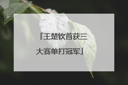 王楚钦首获三大赛单打冠军