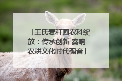 王氏麦秆画农科绽放：传承创新 奏响农耕文化时代强音