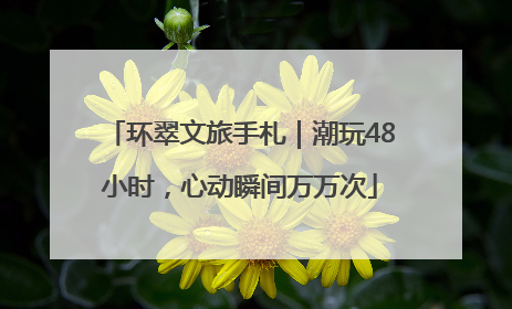 环翠文旅手札｜潮玩48小时，心动瞬间万万次