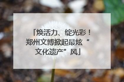 焕活力、绽光彩！郑州文博掀起最炫“文化遗产”风