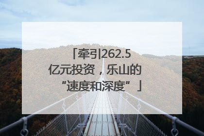 牵引262.5亿元投资，乐山的“速度和深度”