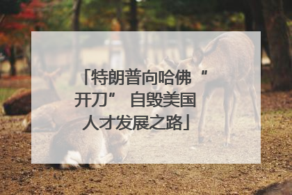 特朗普向哈佛“开刀” 自毁美国人才发展之路
