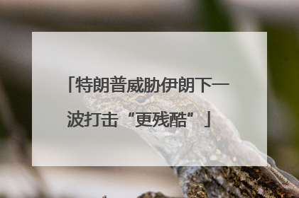 特朗普威胁伊朗下一波打击“更残酷”